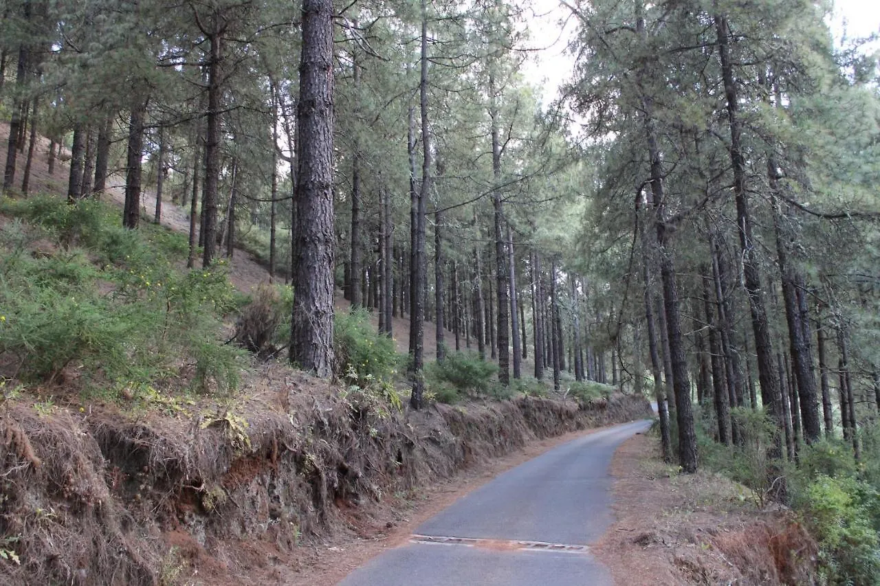 Finca El Cole Villa Las Palmas de Gran Canaria 0*,  Spain