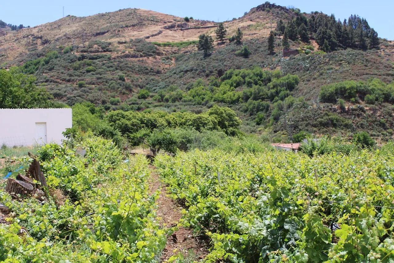 Finca El Cole Villa Las Palmas de Gran Canaria