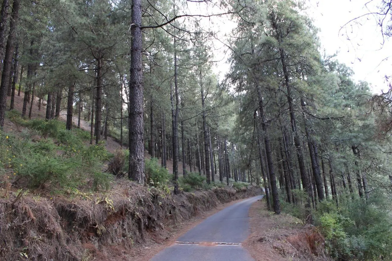 Finca El Cole Villa Las Palmas de Gran Canaria