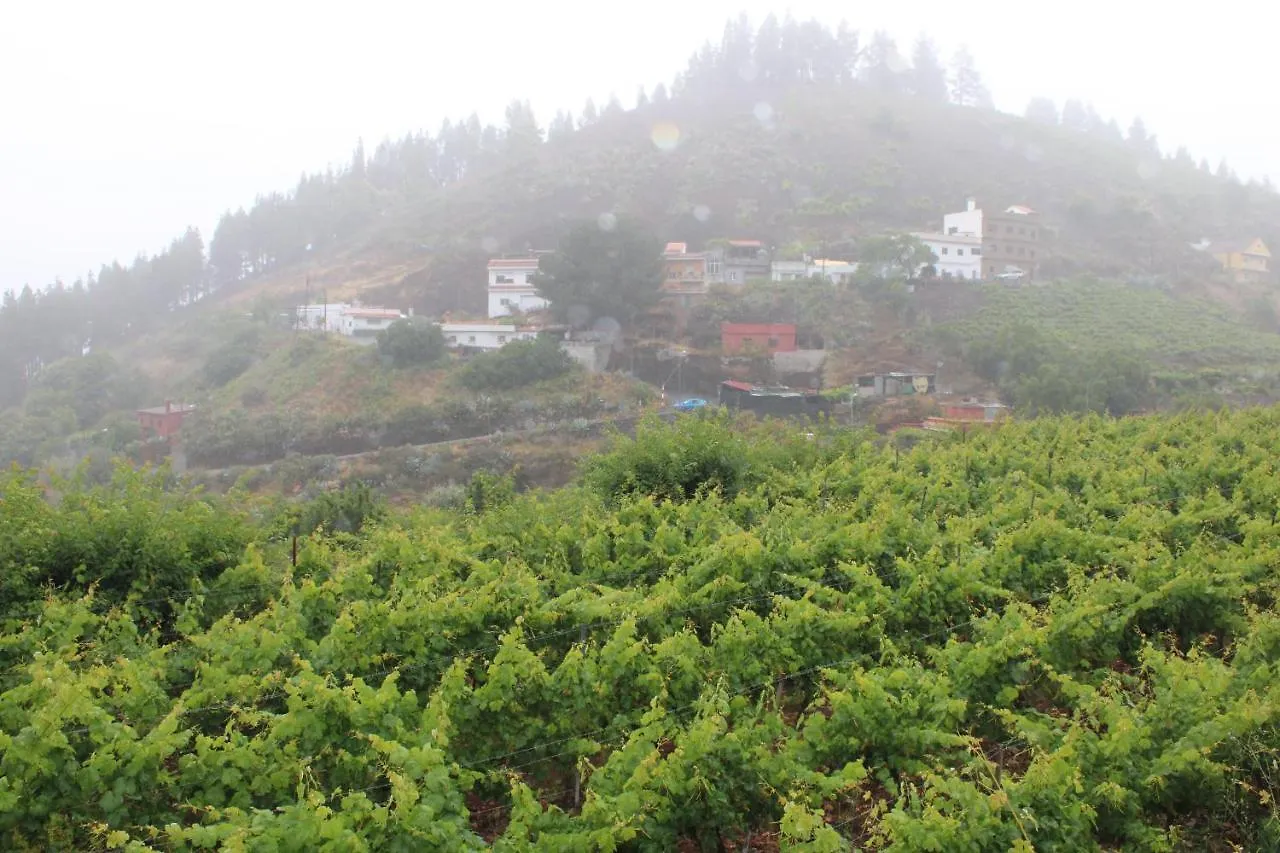 Finca El Cole Villa Las Palmas de Gran Canaria Spain