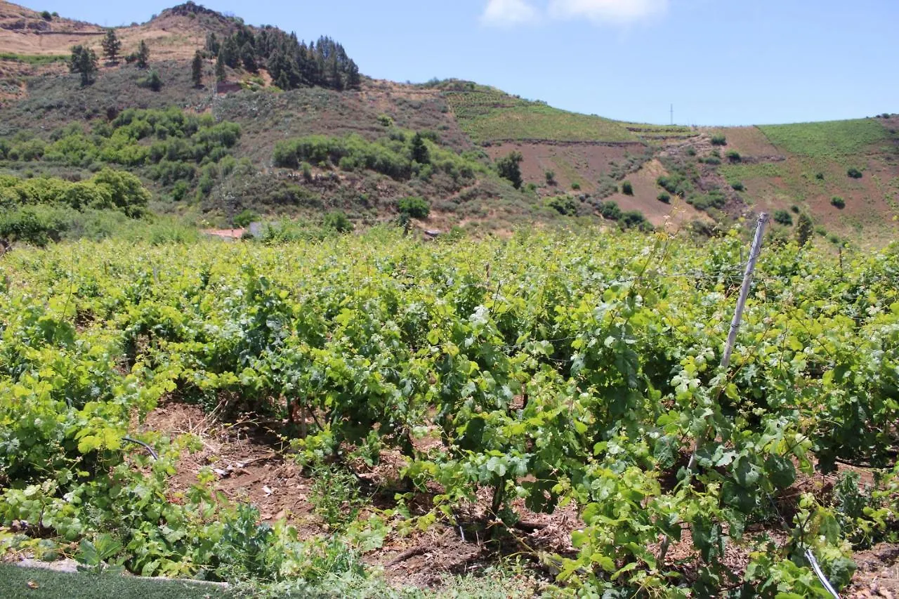 Finca El Cole Vila Las Palmas de Gran Canárias Espanha