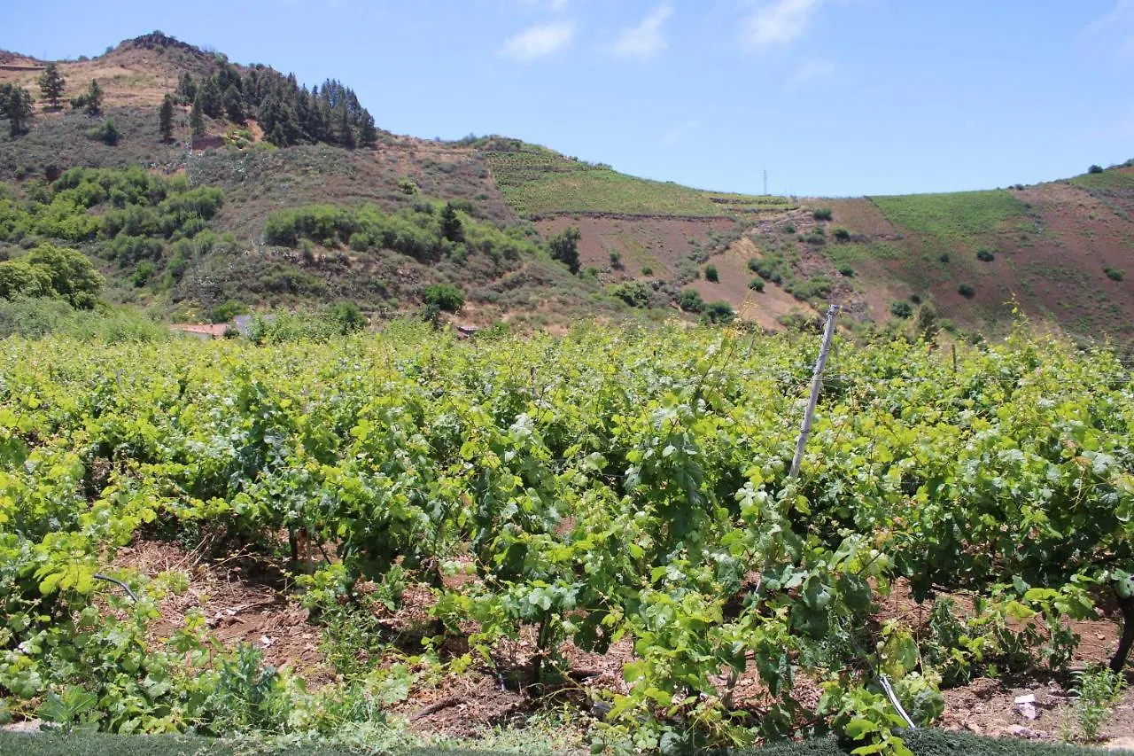 Finca El Cole Vila Las Palmas de Gran Canárias Espanha